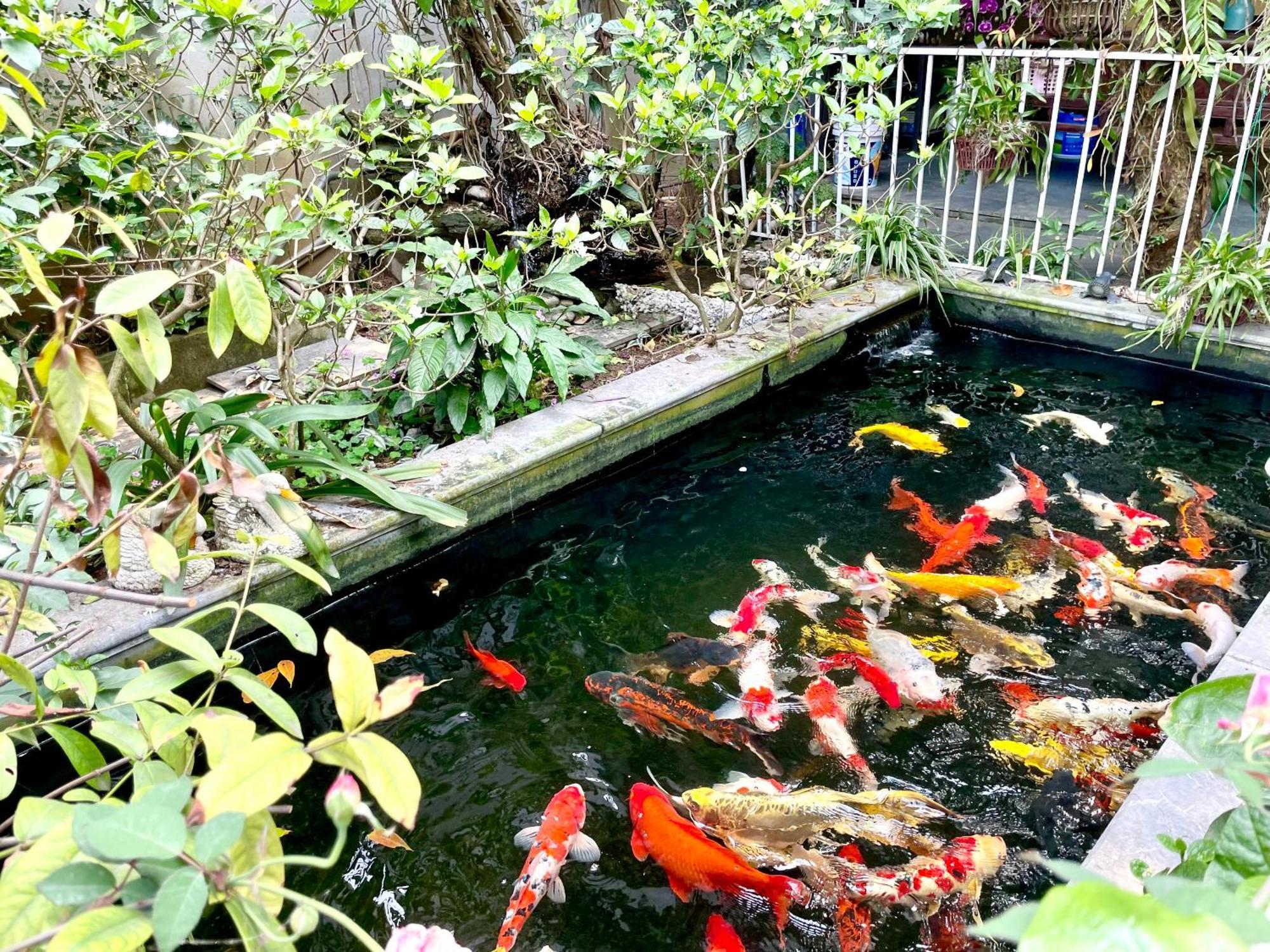 Lee Homestay Hanoi Exteriör bild