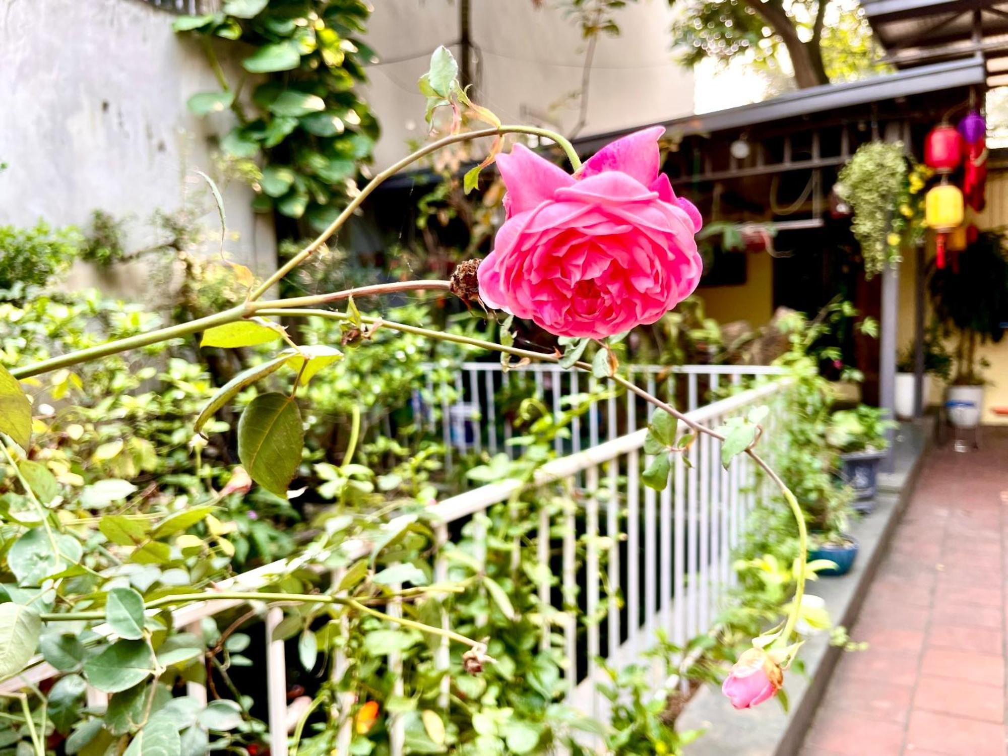 Lee Homestay Hanoi Exteriör bild