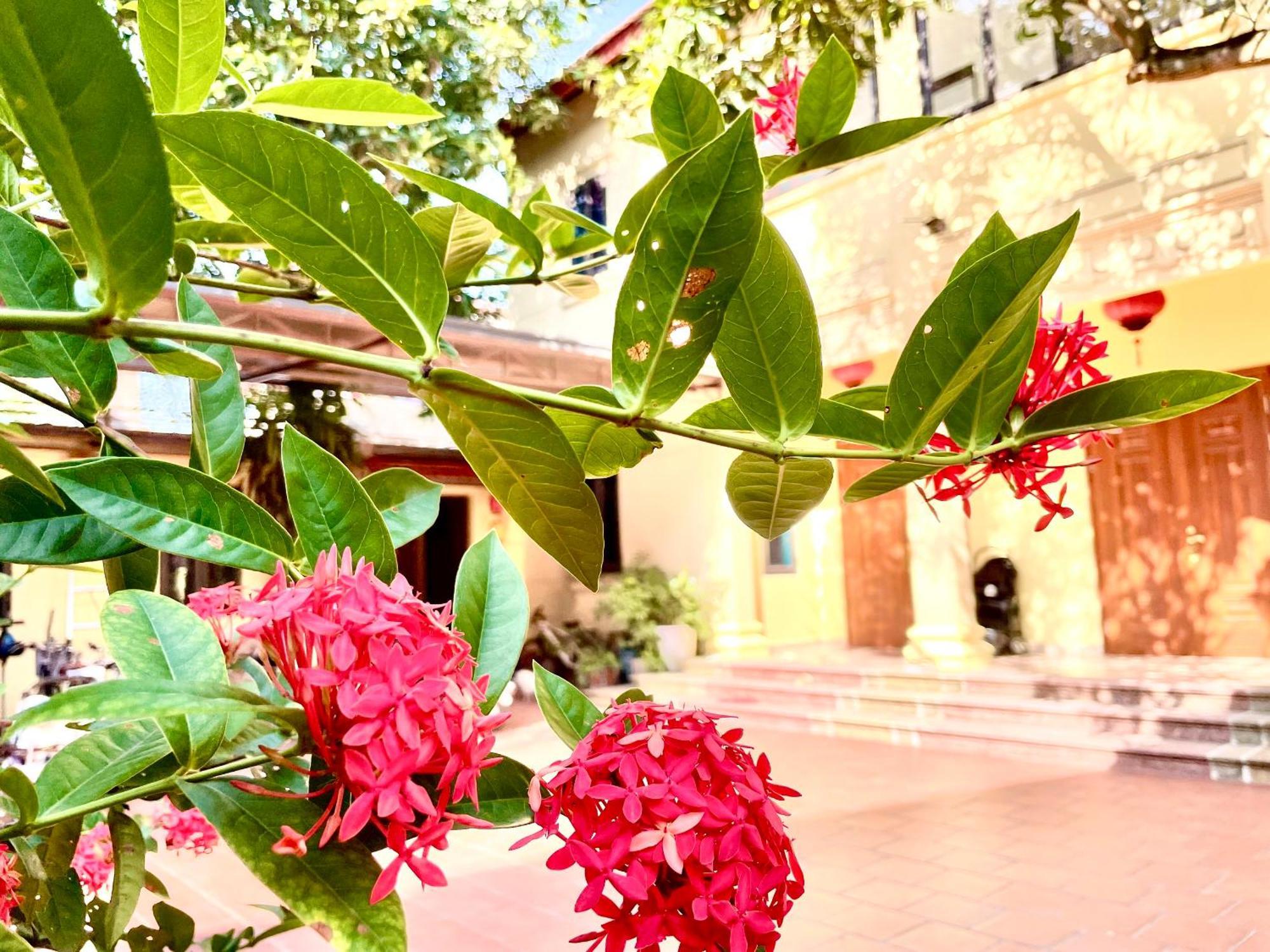 Lee Homestay Hanoi Exteriör bild